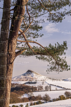 To buy a print or any of the below please click on the images